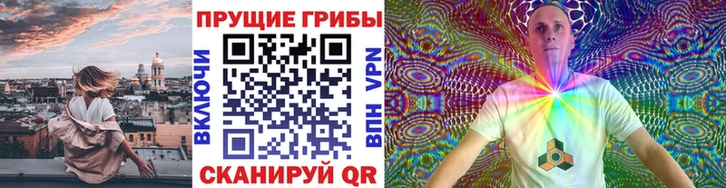 Купить закладки  Пенза  Псилоцибиновые грибы Cubensis 